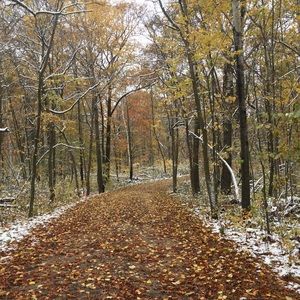 Meet your Posher, Josh